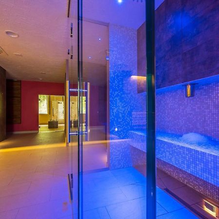 Wellness Penzion Smerdzonka - Kupele Pieniny Cerveny Klastor Exterior photo